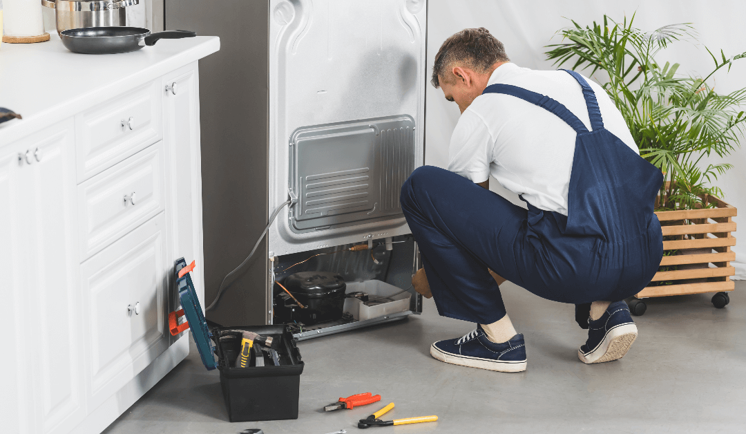 Refrigerators 101: What You Didn’t Know About Maintenance & Repairs?